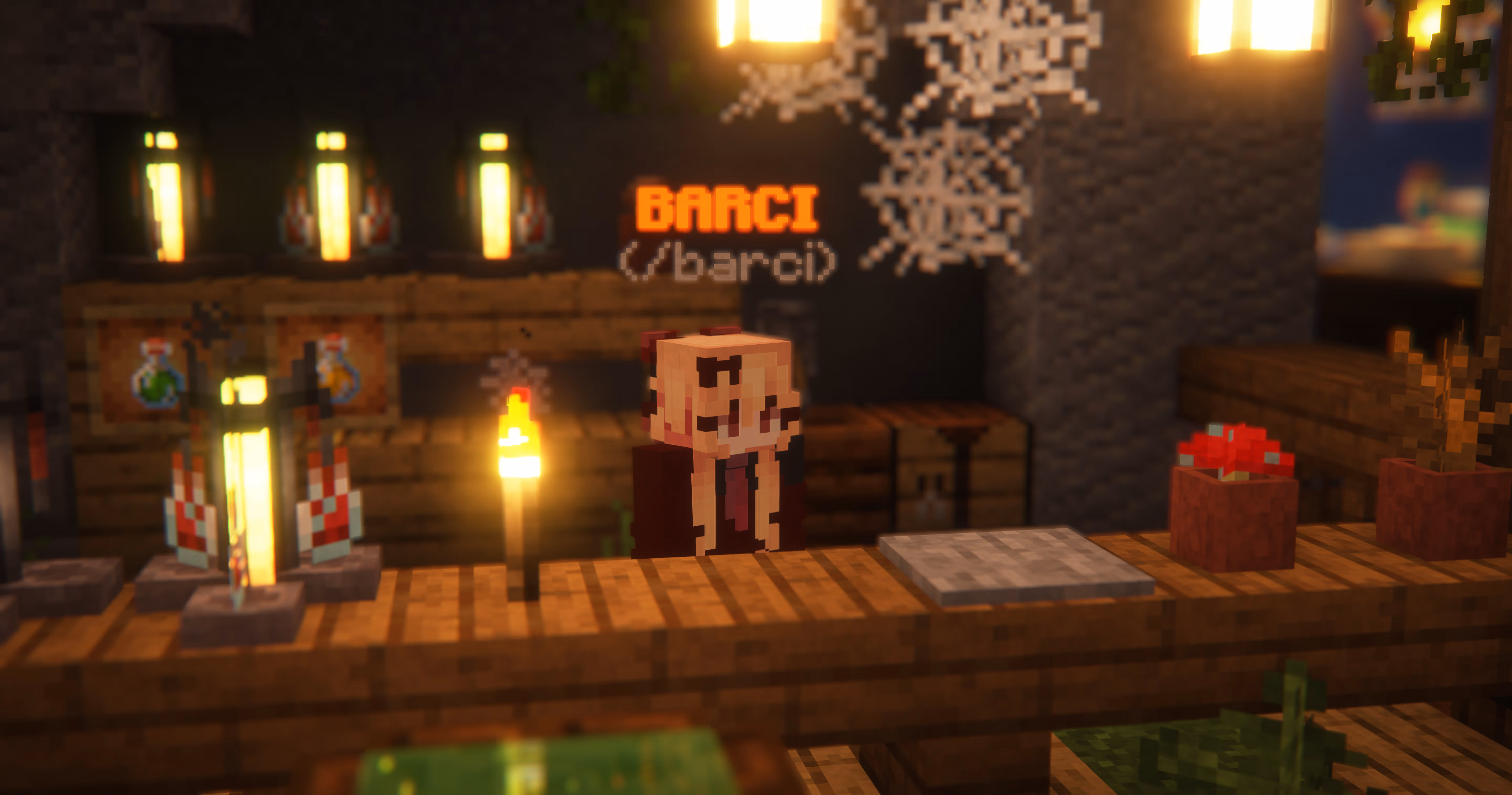 Skyblock sunucusundaki barcı